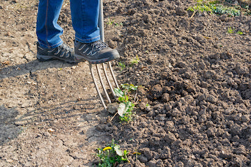 Soil Texture and Conditions