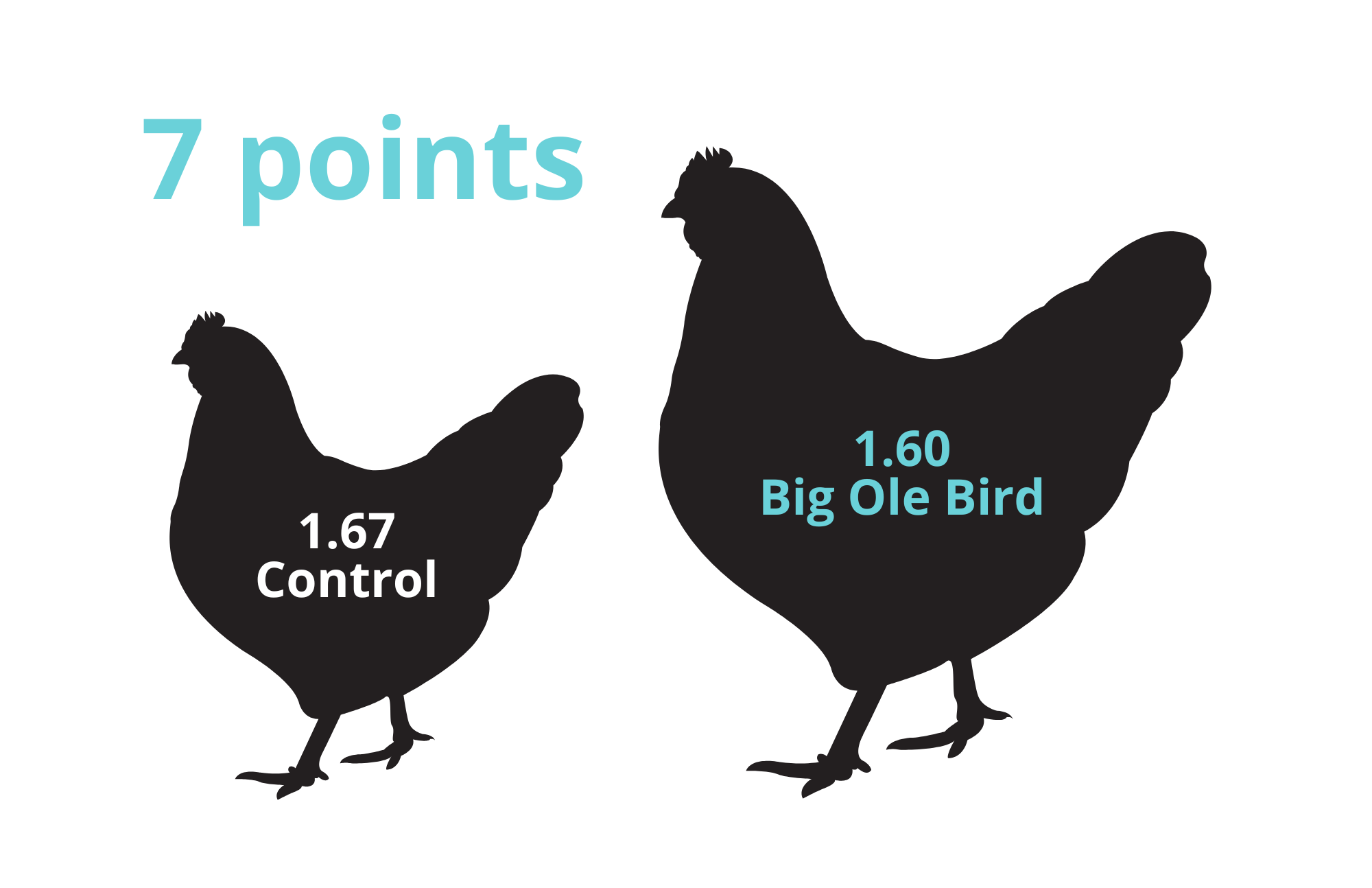 Big Ole Bird Study Feed Conversion Ratio Improvement