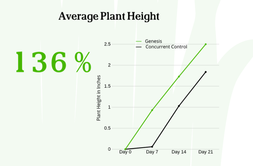 Average Plant Height