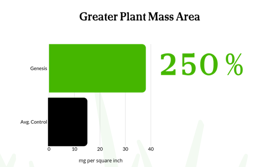 Plant Mass Area