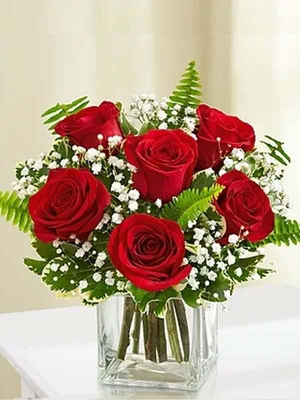 Love and Devotion - Long Stemmed Red Roses