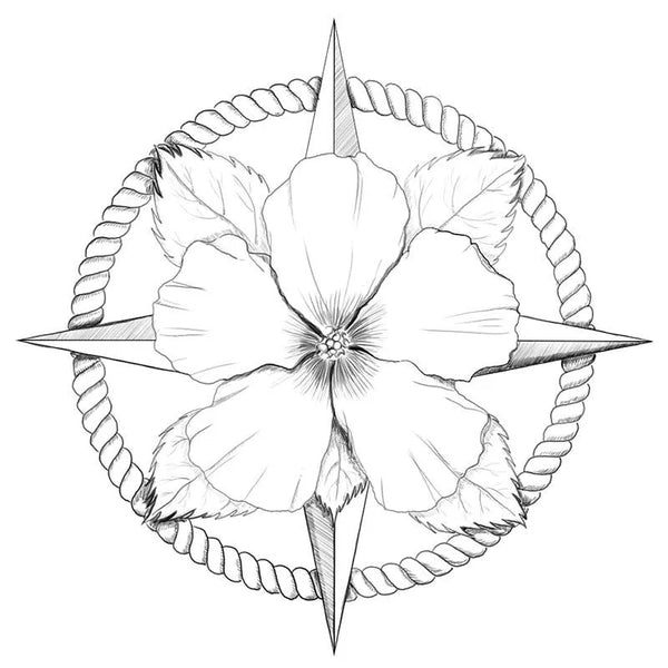 Florida State map original hibiscus compass sketch.