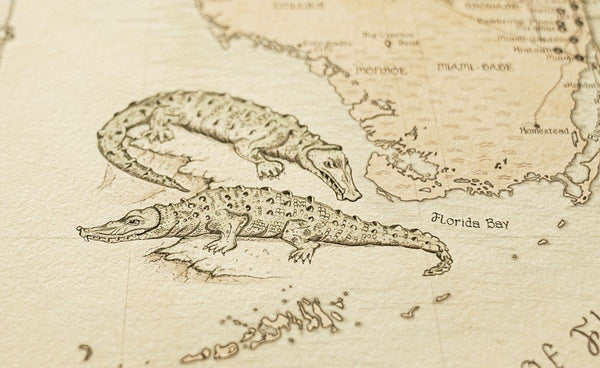 Map of Florida with the everglades and their alligator guardians.