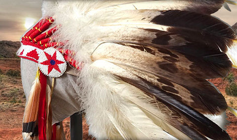 eagle feathers comanche palo duro Tsen-tainte