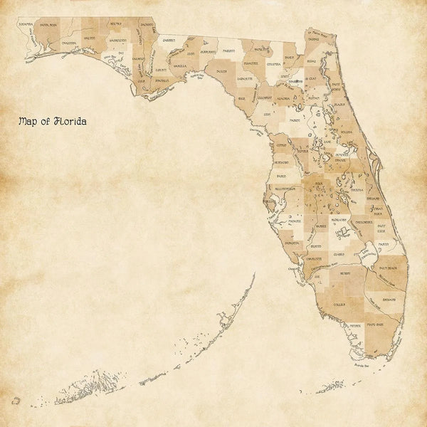 Early creation for a Map of Florida counties. Step 2: adding the counties.