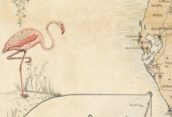 The Pink Flamingo - illustration on the Florida Map.