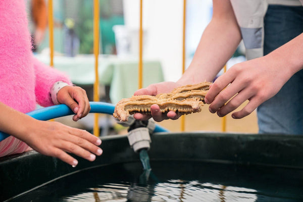 Children got up close and personal with these miraculous beasts.