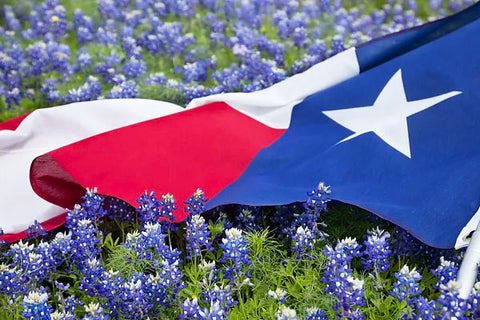 bluebonnet and texas flag