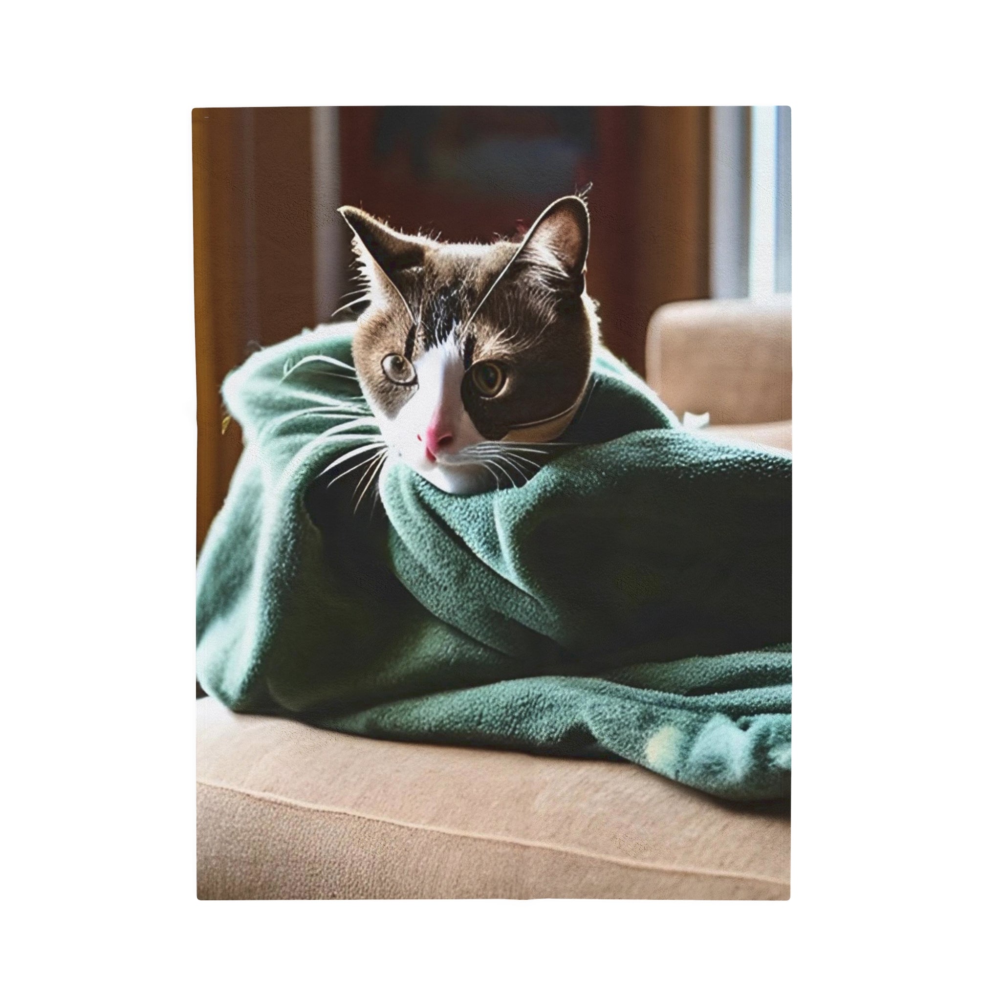 Cat in a blanket Velveteen Plush Blanket