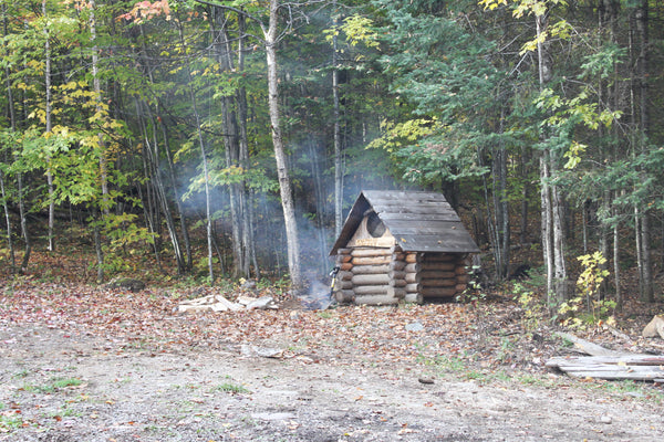 dans la cabane de chute des bois