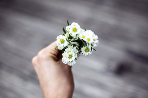 Fleurs Dot & Lil, nous sommes désolés !