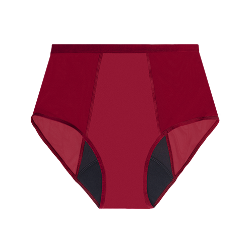 Thinx for All™ Women's Hi-Waist Period Underwear, All Day