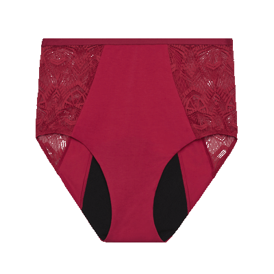 Photo of Red Lacy Underwear on Silky Fabric