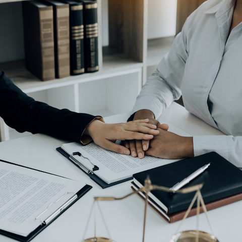 Lawyer is counseling their client