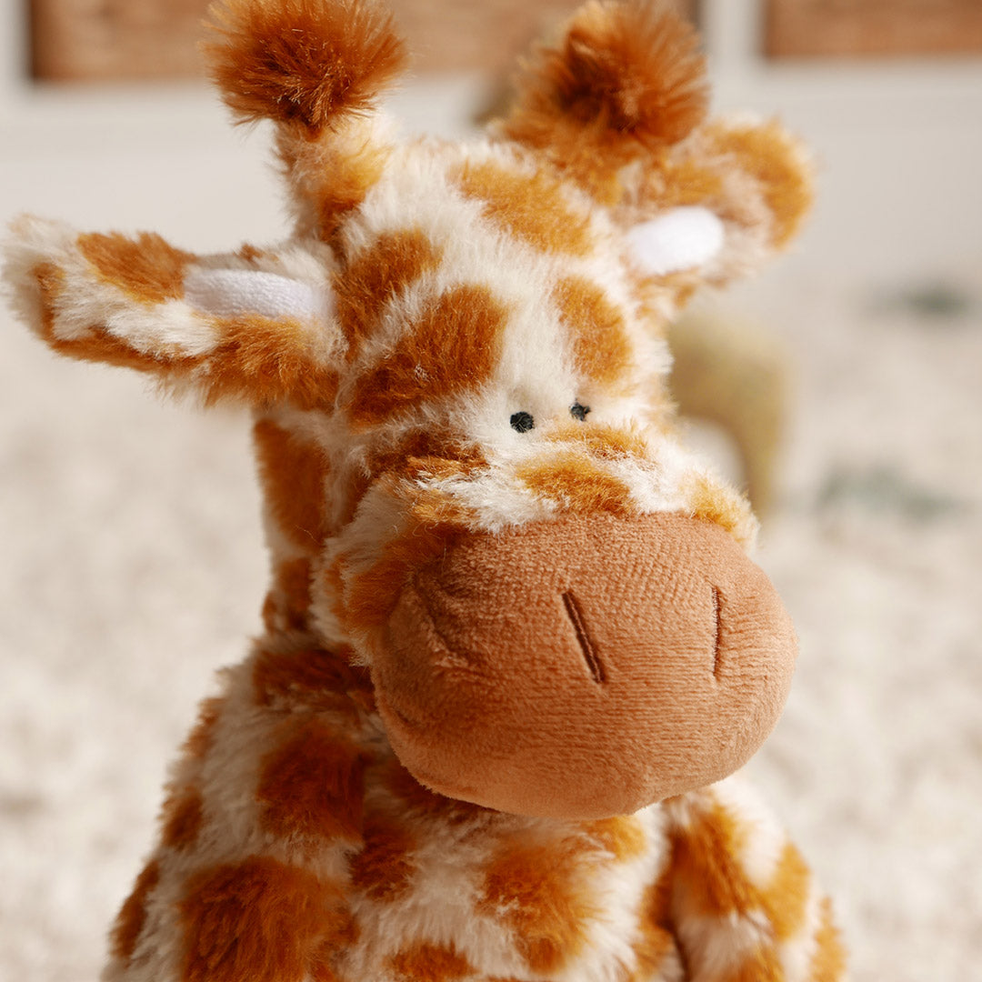 Tigercub Lion Soft Toy 03 3eb185a8 efc1 486d 8faa 9af986af99dd