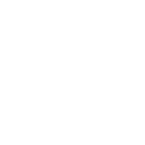 MAXESPORT Logo