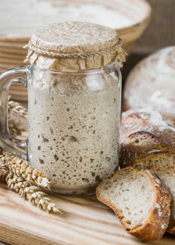 Sourdough starter wild fresh healthy