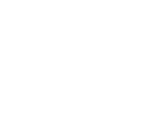 anchorwhite_Two Different Anchors In Glyph copy 8.png__PID:b53a71b1-b42b-412a-a42b-f0420793c29c
