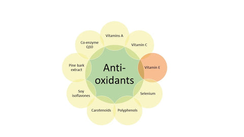 BG-vitamine_anti_oxydant_bave_escargot