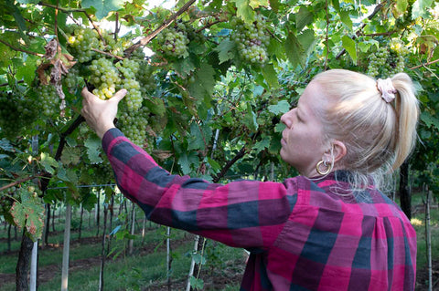 Diletta admiring her ripening grapes