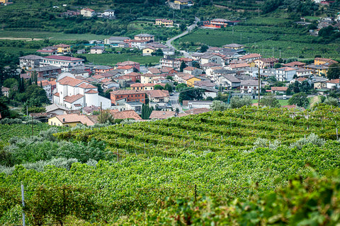 A view of the village of Ronca'