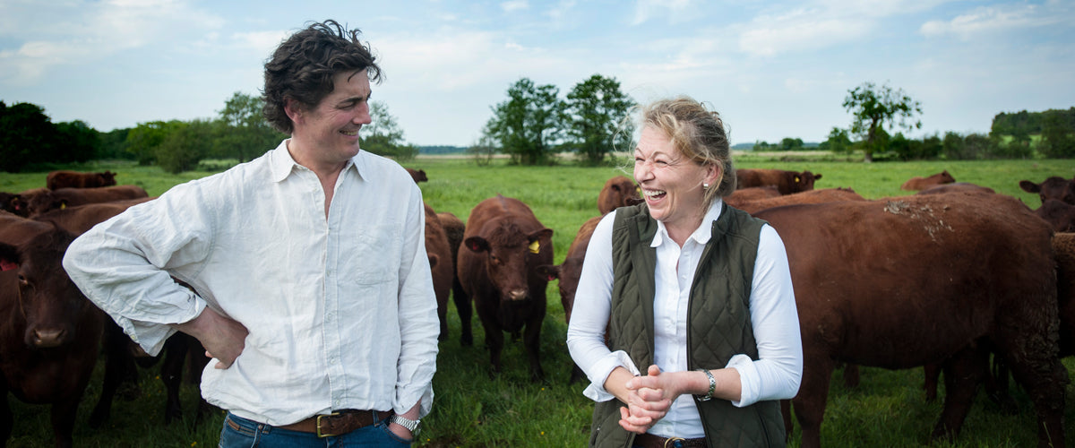 Natasha Mann and her herd of Lincoln Red at Iken