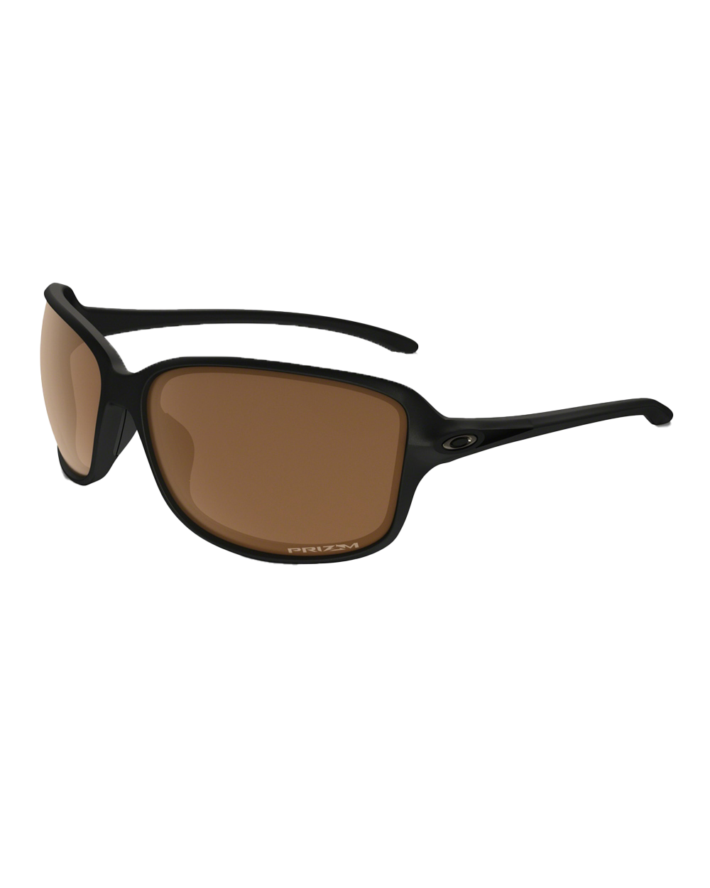 Cohort Sunglasses in Brown