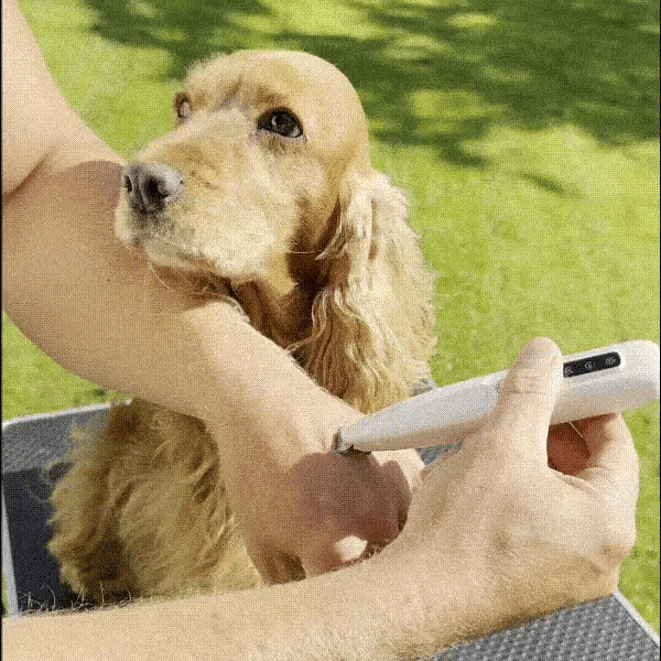 Gif_7-ezgif.com-optimize.gif__PID:aa2bc806-a0bf-463e-948c-3452572b42f3