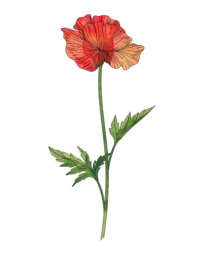 hpotter-poppy-1-sticker