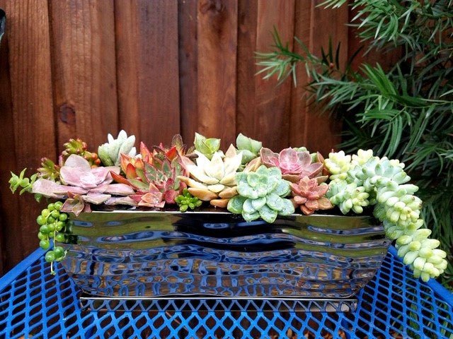 安心の日本製 H Potter Hanging Copper Patio Garden Flower Planter