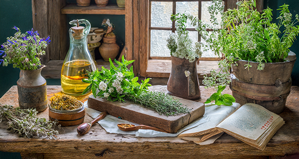 Historical Uses of Herbs