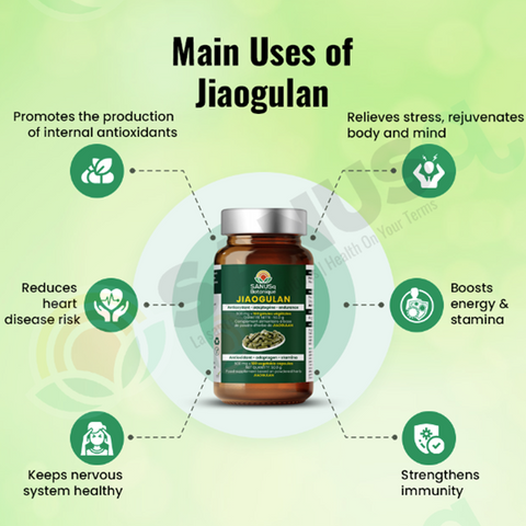 Jiaogulan Capsules