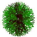 Emerald Green