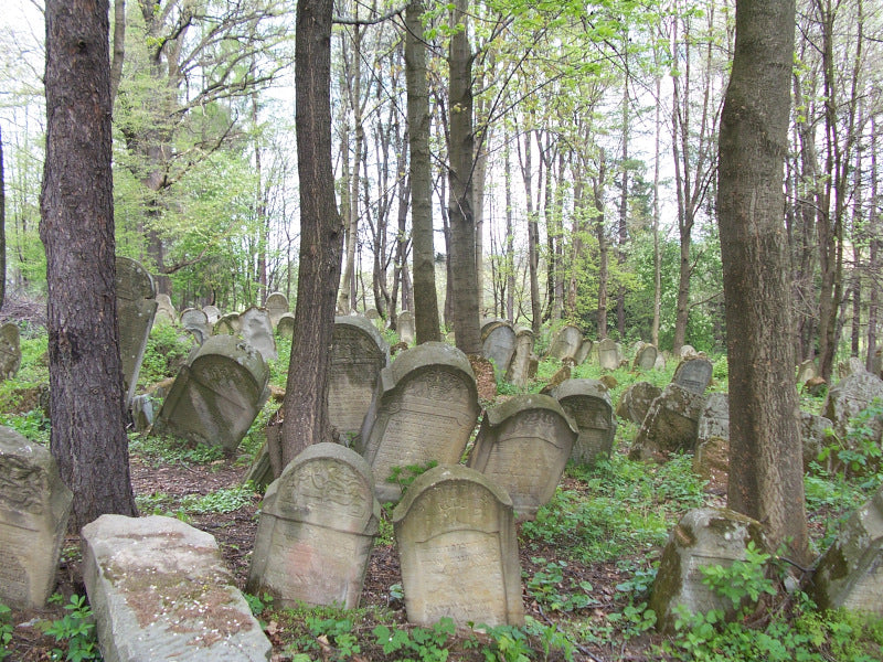Lesko-cmentarz żydowski