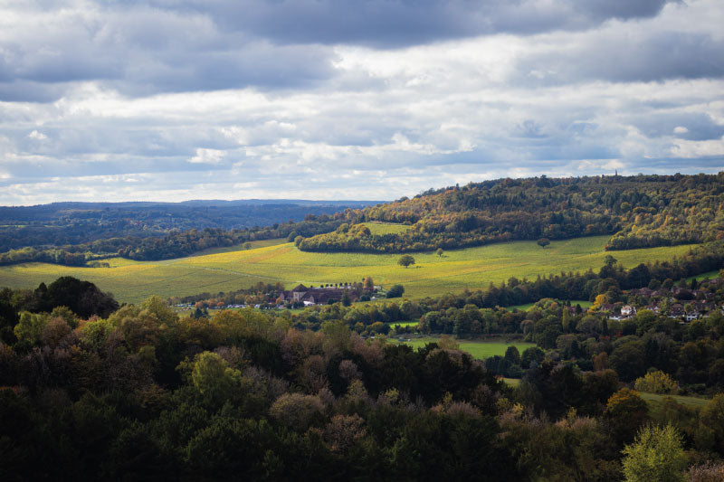 Pogórze Dyniowskie