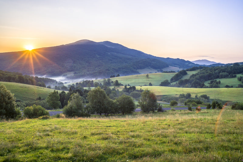 Tarnica