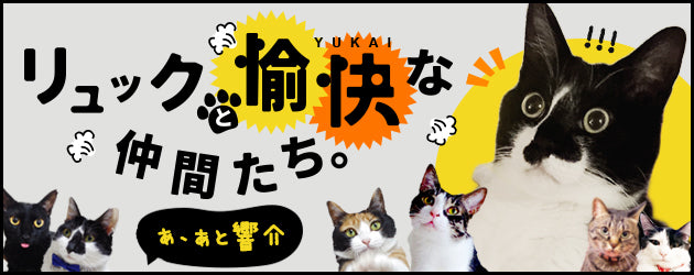 リュックと愉快な仲間たち。あ、あと響介