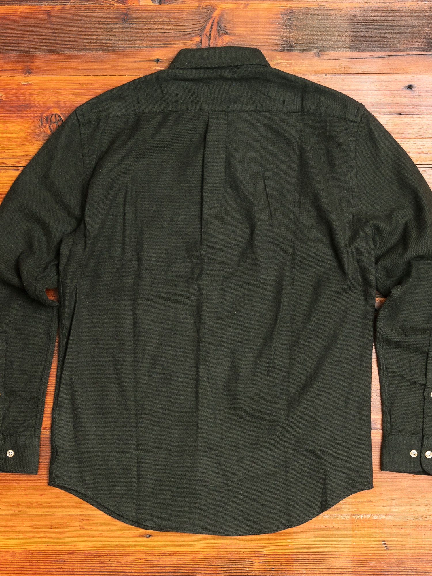 Teca Button-Up Shirt in Green