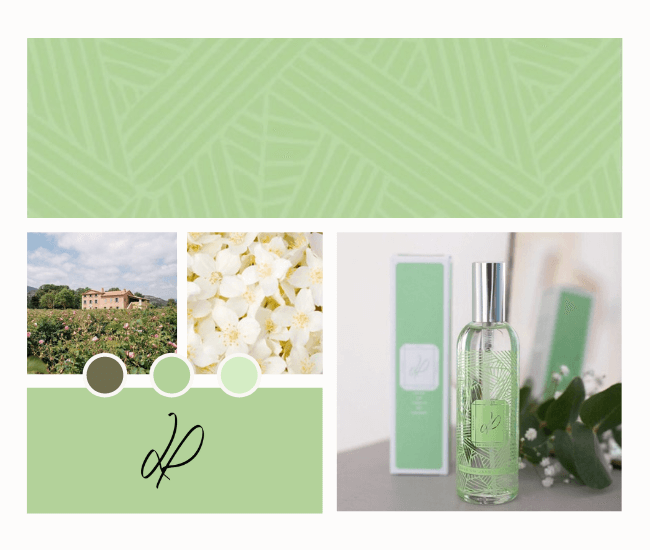 Le vert anis, la couleur symbole de notre parfum Dans un jardin de Grasse | La Promenade Parfum d'intérieur