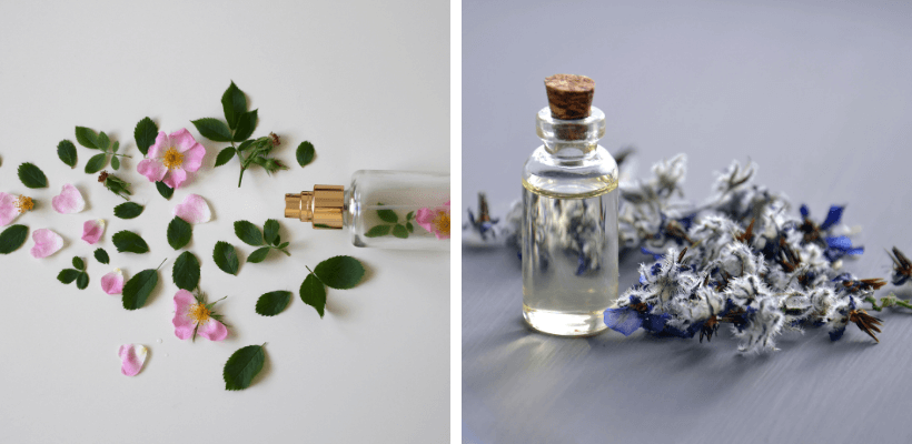 Fragrance parfumee création de parfum Grasse La Promaneda