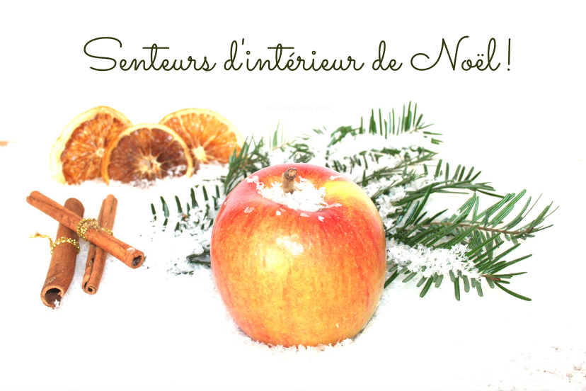 Quelles senteurs parfumées pour votre intérieur à Noël ? 