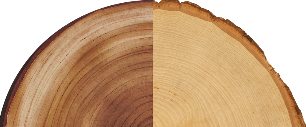 Hardwoods vs. Softwoods