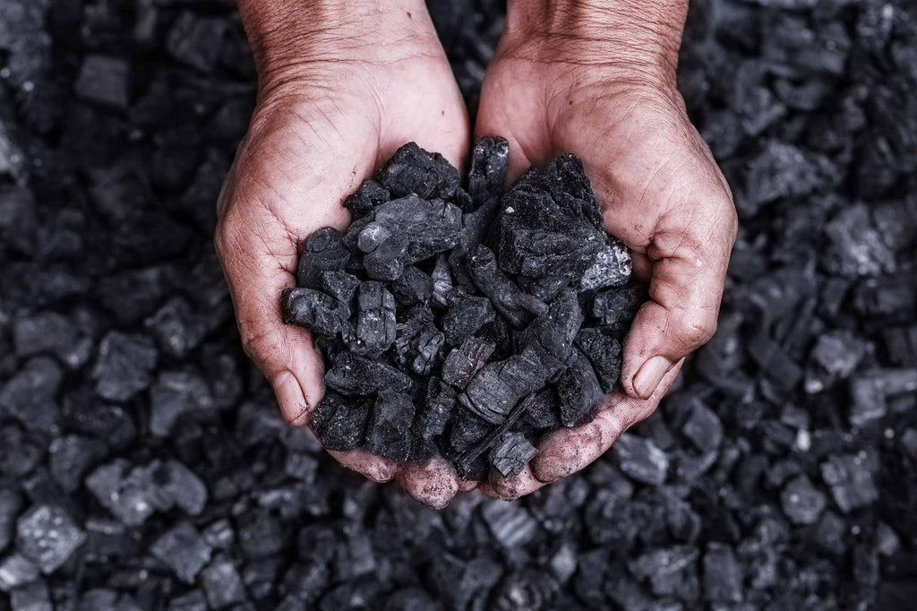 What Is Coal