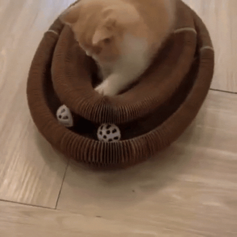 un chat qui joue avec un jouet griffoir en carton