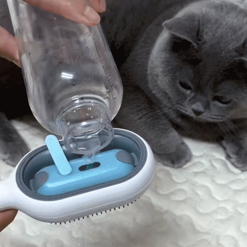 Gif brosse pour chat