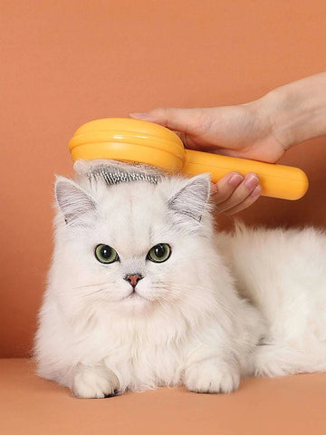 Brosse pour chat