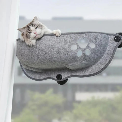 Un chat installé confortablement sur un hamac de fenêtre 