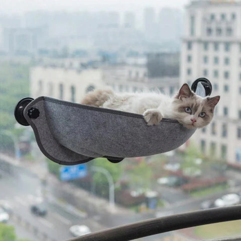 Un chat installé sur un hamac de fenêtre 