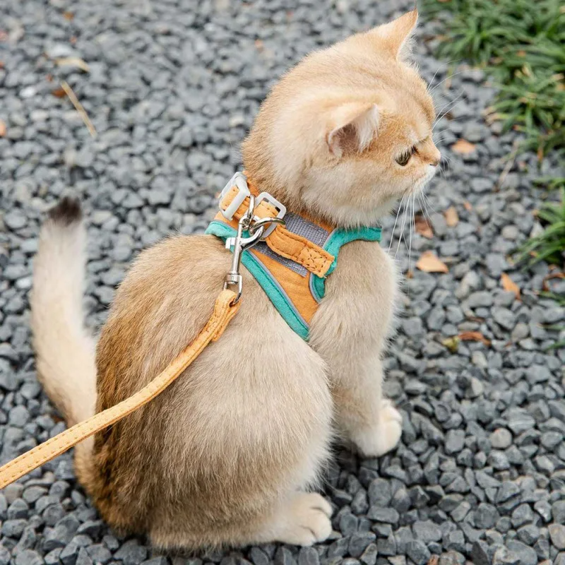 Harnais pour chat - PurrSecure™