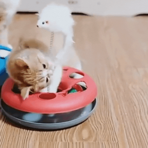 Gif qui montre un chat qui joue avec un jouet interactif